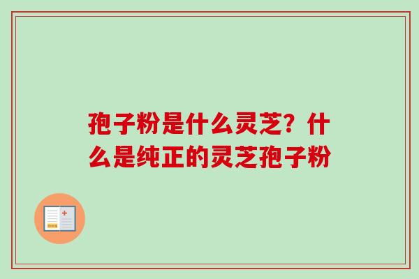 孢子粉是什么灵芝？什么是纯正的灵芝孢子粉
