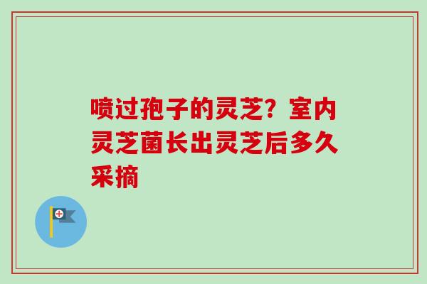 喷过孢子的灵芝？室内灵芝菌长出灵芝后多久采摘