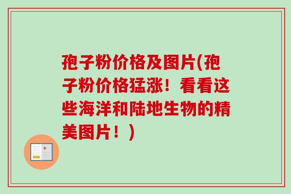 孢子粉价格及图片(孢子粉价格猛涨!看看这些海洋和陆地生物的精美图片!) 孢子粉价格及图片(孢子粉价格猛涨!看看这些海洋和陆地生物的精美图片!)