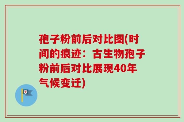 孢子粉前后对比图(时间的痕迹:古生物孢子粉前后对比展现40年气候变迁) 孢子粉前后对比图(时间的痕迹:古生物孢子粉前后对比展现40年气候变迁)