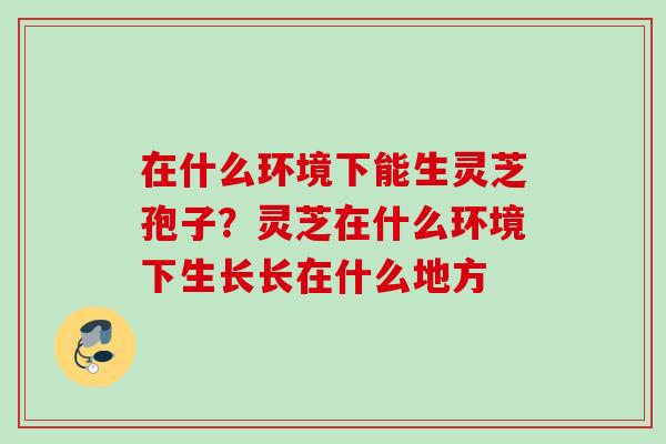 在什么环境下能生灵芝孢子？灵芝在什么环境下生长长在什么地方