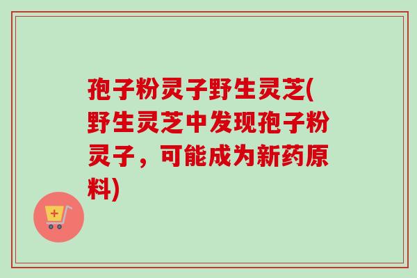 孢子粉灵子野生灵芝(野生灵芝中发现孢子粉灵子，可能成为新药原料)