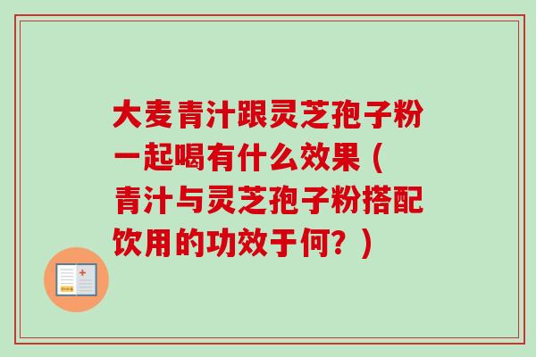 大麦青汁跟灵芝孢子粉一起喝有什么效果 (青汁与灵芝孢子粉搭配饮用的功效于何？)