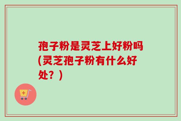 孢子粉是灵芝上好粉吗(灵芝孢子粉有什么好处？)