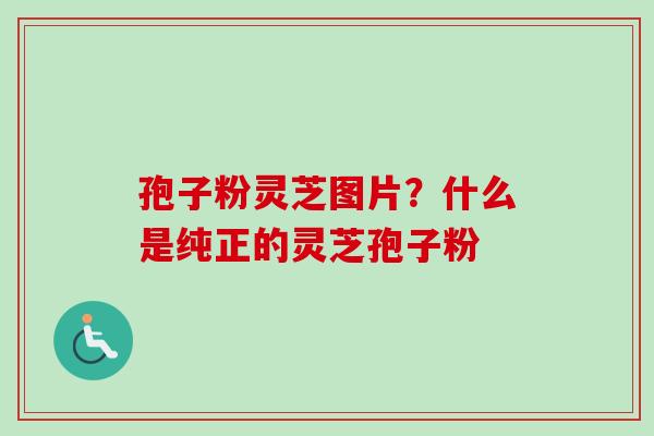 孢子粉灵芝图片？什么是纯正的灵芝孢子粉
