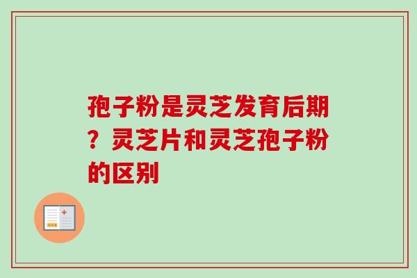 孢子粉是灵芝发育后期？灵芝片和灵芝孢子粉的区别