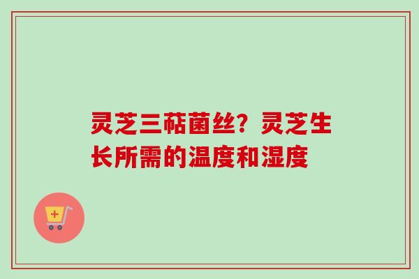 灵芝三萜菌丝？灵芝生长所需的温度和湿度