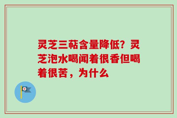 灵芝三萜含量降低？灵芝泡水喝闻着很香但喝着很苦，为什么