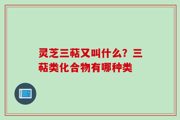 灵芝三萜又叫什么？三萜类化合物有哪种类