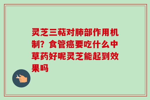 灵芝三萜对肺部作用机制？食管癌要吃什么中草药好呢灵芝能起到效果吗