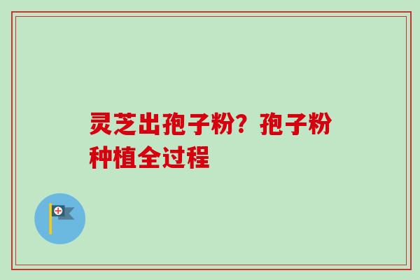 灵芝出孢子粉？孢子粉种植全过程