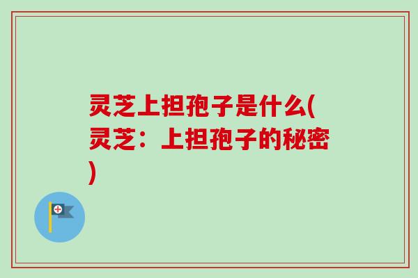灵芝上担孢子是什么(灵芝：上担孢子的秘密)