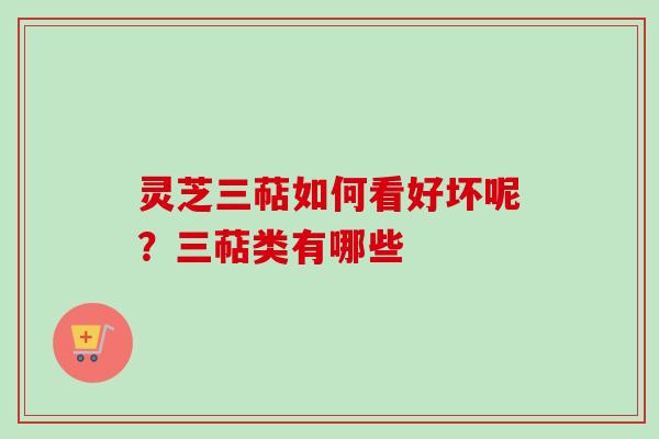 灵芝三萜如何看好坏呢？三萜类有哪些