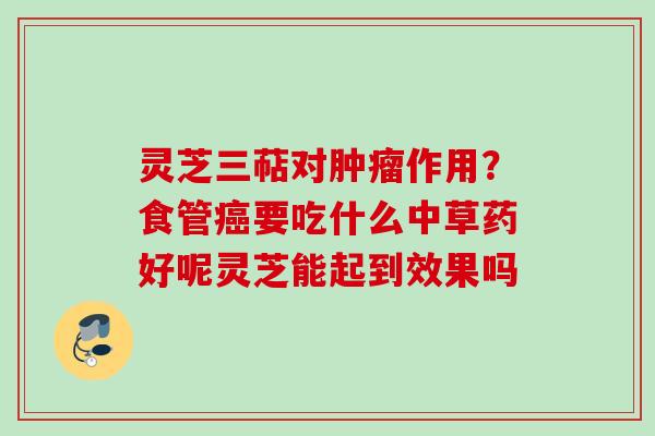灵芝三萜对肿瘤作用？食管癌要吃什么中草药好呢灵芝能起到效果吗