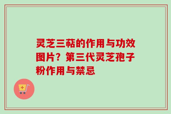 灵芝三萜的作用与功效图片？第三代灵芝孢子粉作用与禁忌