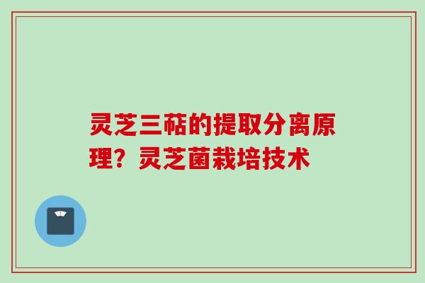 灵芝三萜的提取分离原理?灵芝菌栽培技术 灵芝三萜的提取分离原理?灵芝菌栽培技术