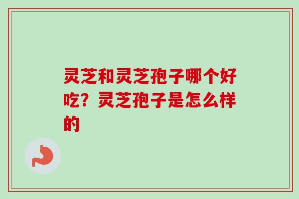 灵芝和灵芝孢子哪个好吃?灵芝孢子是怎么样的 灵芝和灵芝孢子哪个好吃?灵芝孢子是怎么样的
