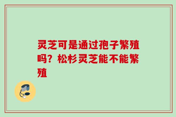灵芝可是通过孢子繁殖吗？松杉灵芝能不能繁殖