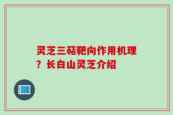 灵芝三萜靶向作用机理？长白山灵芝介绍