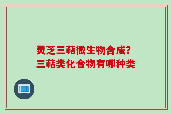 灵芝三萜微生物合成？三萜类化合物有哪种类
