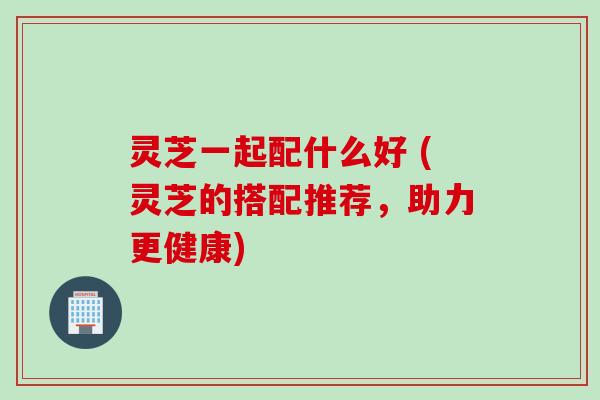 灵芝一起配什么好 (灵芝的搭配推荐，助力更健康)