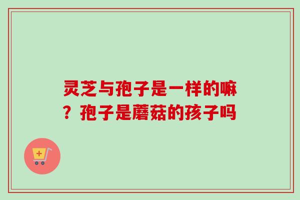 灵芝与孢子是一样的嘛？孢子是蘑菇的孩子吗