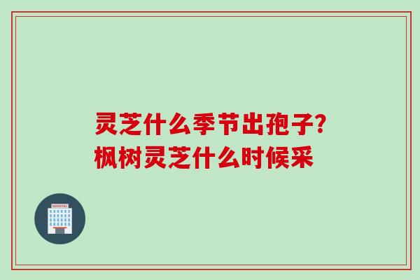 灵芝什么季节出孢子?枫树灵芝什么时候采 灵芝什么季节出孢子?枫树灵芝什么时候采