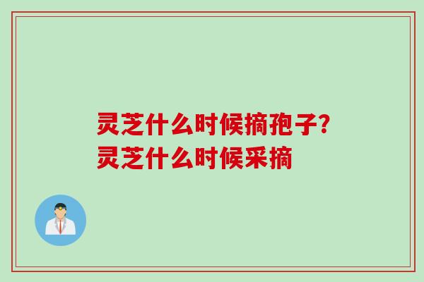 灵芝什么时候摘孢子？灵芝什么时候采摘
