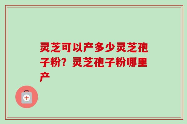 灵芝可以产多少灵芝孢子粉？灵芝孢子粉哪里产