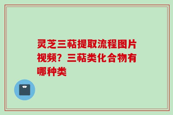 灵芝三萜提取流程图片视频？三萜类化合物有哪种类