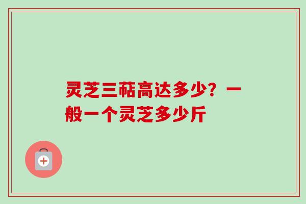 灵芝三萜高达多少？一般一个灵芝多少斤
