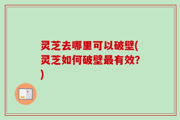 灵芝去哪里可以破壁(灵芝如何破壁最有效？)