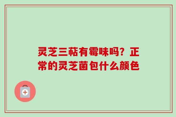 灵芝三萜有霉味吗？正常的灵芝菌包什么颜色