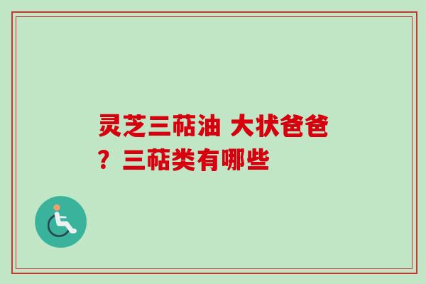 灵芝三萜油 大状爸爸？三萜类有哪些