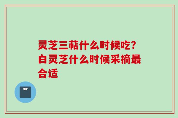 灵芝三萜什么时候吃？白灵芝什么时候采摘最合适