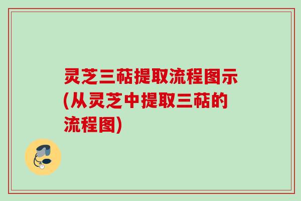 灵芝三萜提取流程图示(从灵芝中提取三萜的流程图)
