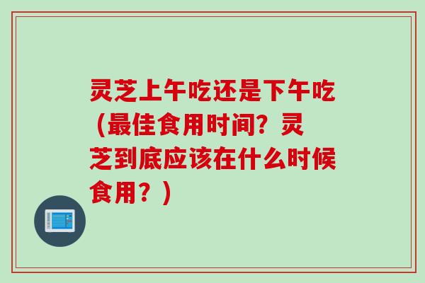 灵芝上午吃还是下午吃 (佳食用时间?灵芝到底应该在什么时候食用?) 灵芝上午吃还是下午吃 (佳食用时间?灵芝到底应该在什么时候食用?)
