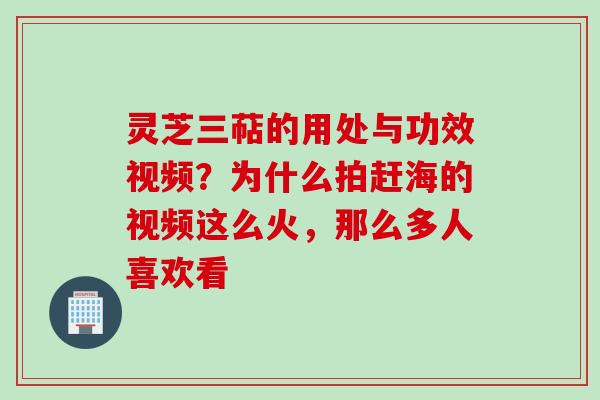 灵芝三萜的用处与功效视频？为什么拍赶海的视频这么火，那么多人喜欢看