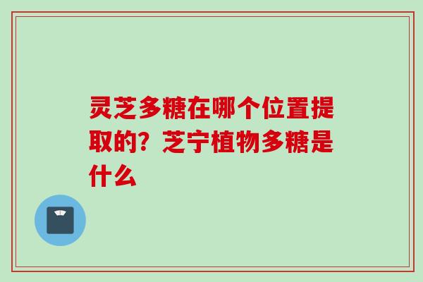 灵芝多糖在哪个位置提取的？芝宁植物多糖是什么