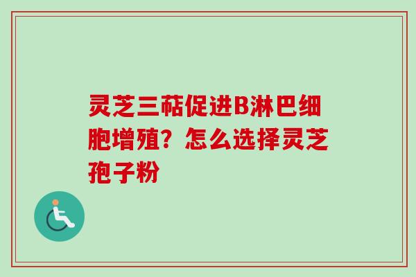 灵芝三萜促进B淋巴细胞增殖？怎么选择灵芝孢子粉
