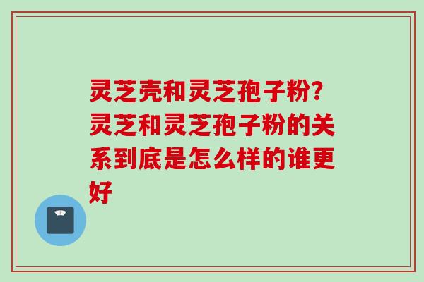 灵芝壳和灵芝孢子粉?灵芝和灵芝孢子粉的关系到底是怎么样的谁更好 灵芝壳和灵芝孢子粉?灵芝和灵芝孢子粉的关系到底是怎么样的谁更好