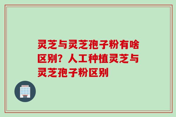 灵芝与灵芝孢子粉有啥区别？人工种植灵芝与灵芝孢子粉区别