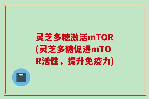 灵芝多糖激活mTOR(灵芝多糖促进mTOR活性，提升免疫力)