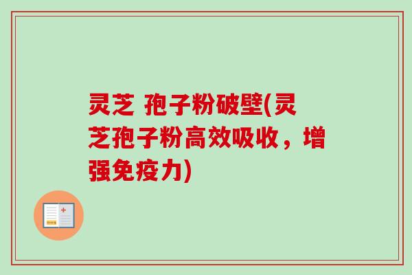 灵芝 孢子粉破壁(灵芝孢子粉高效吸收，增强免疫力)