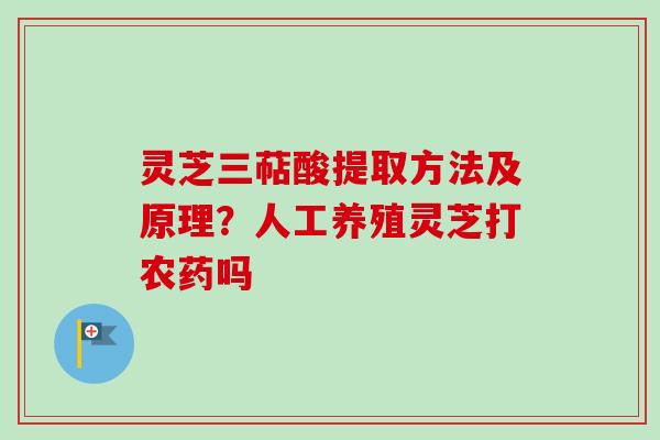 灵芝三萜酸提取方法及原理？人工养殖灵芝打农药吗