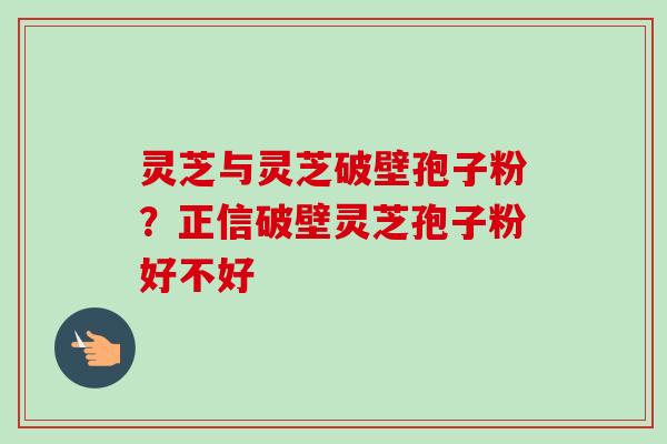 灵芝与灵芝破壁孢子粉？正信破壁灵芝孢子粉好不好