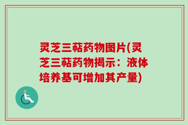 灵芝三萜药物图片(灵芝三萜药物揭示：液体培养基可增加其产量)