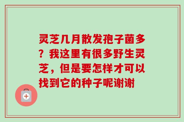 灵芝几月散发孢子菌多?我这里有很多野生灵芝,但是要怎样才可以找到它的种子呢谢谢 灵芝几月散发孢子菌多?我这里有很多野生灵芝,但是要怎样才可以找到它的种子呢谢谢