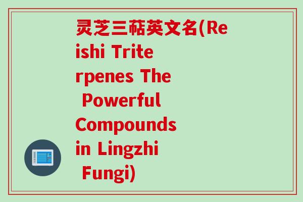 灵芝三萜英文名(Reishi Triterpenes The Powerful Compounds in Lingzhi Fungi)