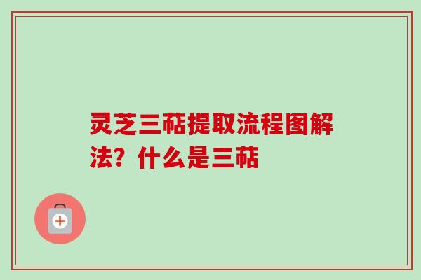 灵芝三萜提取流程图解法?什么是三萜 灵芝三萜提取流程图解法?什么是三萜